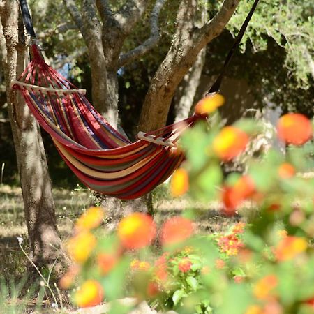 Finca Katia แคปเดอเปรา ภายนอก รูปภาพ