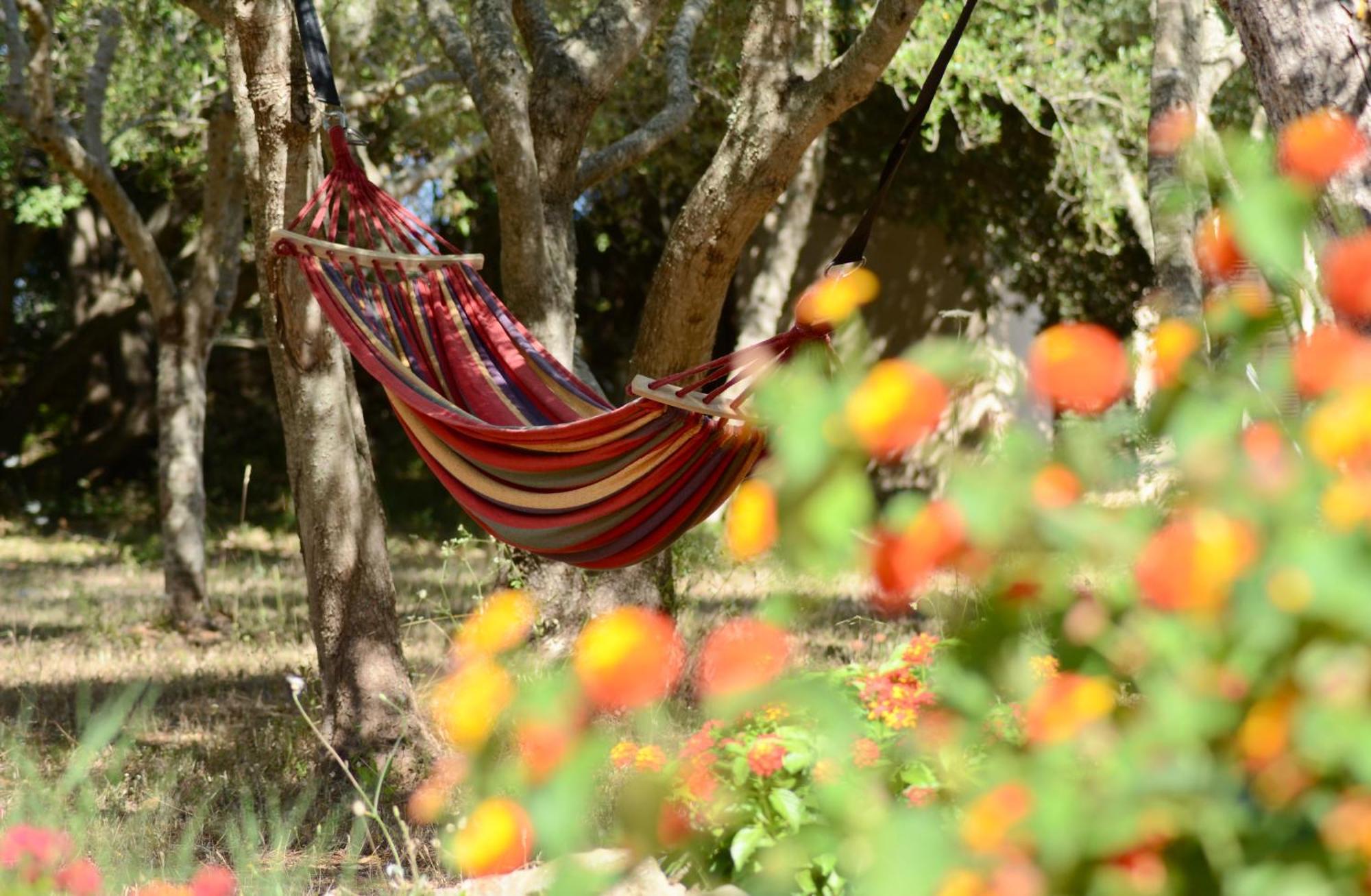 Finca Katia แคปเดอเปรา ภายนอก รูปภาพ